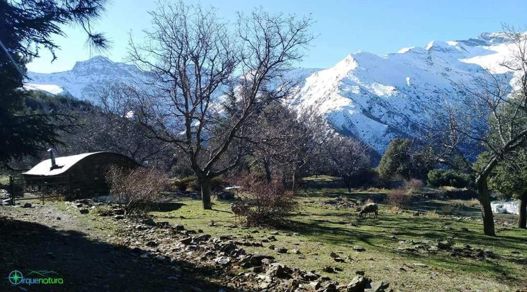 Casa De Cata Apartment Guejar-Sierra Bagian luar foto